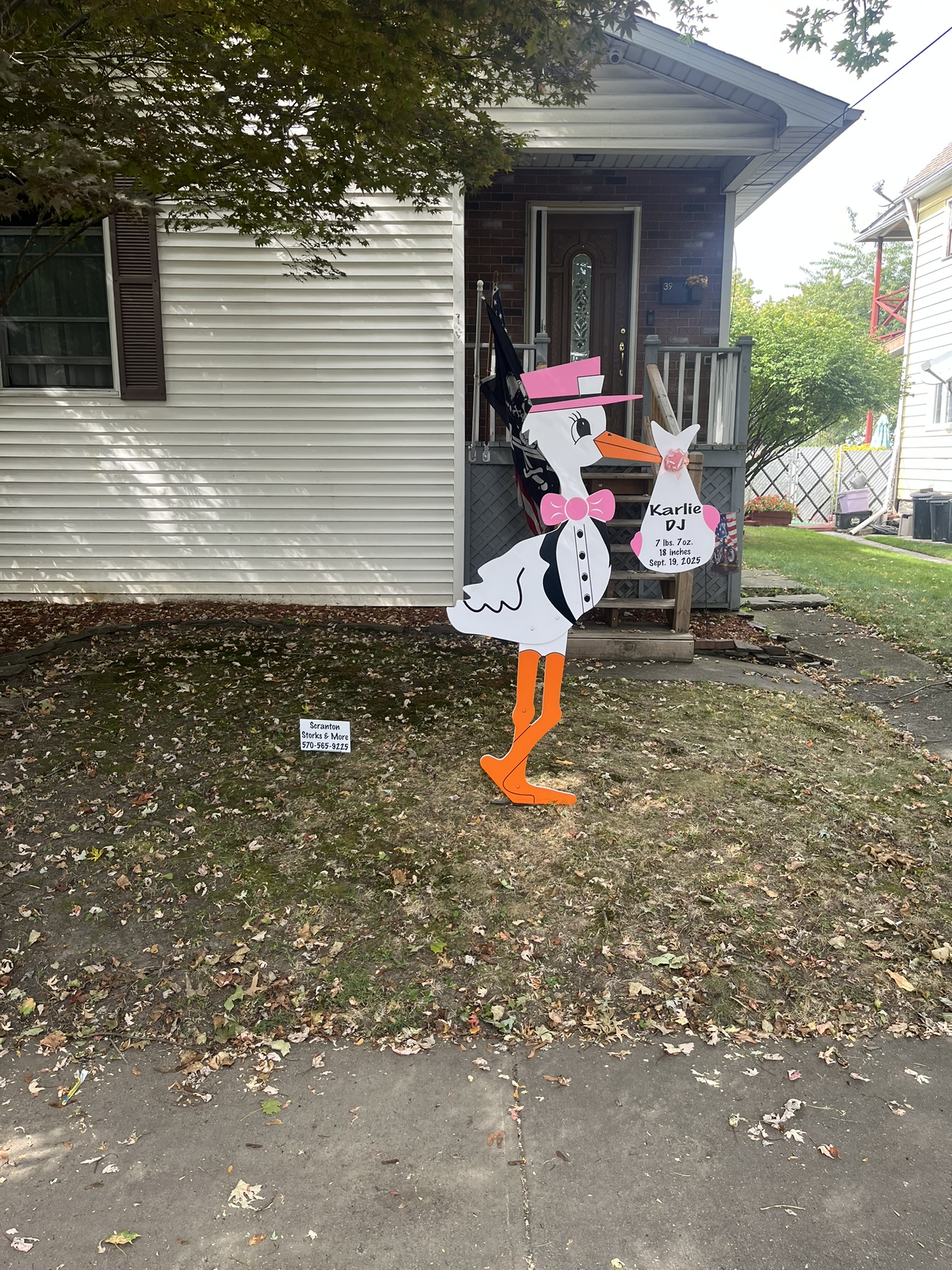 🍂 Falling Leaves, New Beginnings: Celebrating Autumn with Scranton Storks and More 🍂